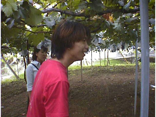 򥯥åȥꥸʥɽޤ
ե륵礭ΤǸդ
(167,063 Byte)